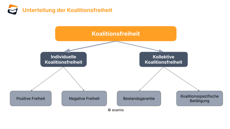 Unterteilung der Koalitionsfreiheit Bitte Beschreibung eingeben